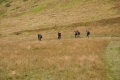 2012-08-04-02
