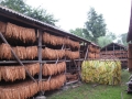 2012-08-31-12