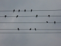2012-08-31-13