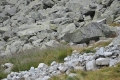 2012-09-16-29