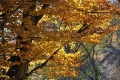 2012-10-20-14