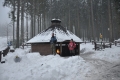 2013-02-16-06