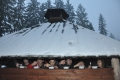 2013-02-16-12