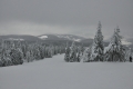 2013-02-23-04