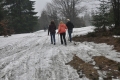 2013-04-20-11