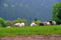 2013-05-30-01