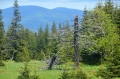 2013-05-30-23