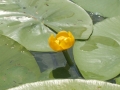 2013-06-21-09