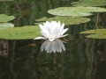 2013-06-21-10