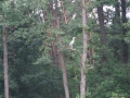 2013-06-21-22
