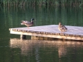 2013-06-21-28