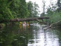 2013-06-21-31