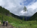 2013-07-13-01