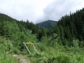 2013-07-13-02