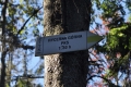 2013-09-08-34