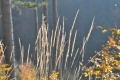 2013-10-12-03