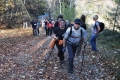 2013-10-20-04