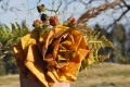 2013-10-20-10