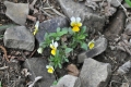2014-05-01-09