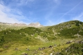 2014-08-08-13