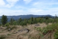 2014-08-23-01