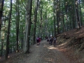 2015_08_30 Lysa Hora fot Piotr Dziki (01)