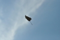 2015_08_30 Lysa Hora fot.  G. Sz. (20)