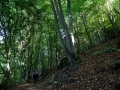 2015_10_04 Sulovskie fot. Piotr Dziki (26)