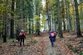 2015_10_19 Przegibek_Rajd 5 Wierch˘w (115)