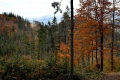 2015_10_19 Przegibek_Rajd 5 Wierch˘w (122)