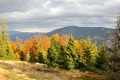 2015_10_19 Przegibek_Rajd 5 Wierch˘w (129)