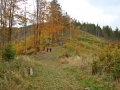 Przegibek fot. Andrzej Steblik (110)