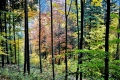 2015_10_24 Pilsko (123)
