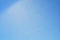 2016_04_17 B_May (07)