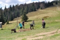 2016_05_07 Rycerzowa boisko (15)