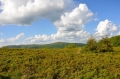 2016_05_27-29 Bieszczady fot.T. Tracz (27)