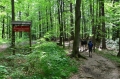 2016_05_27-29 Bieszczady fot.T. Tracz (36)
