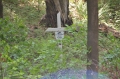 2016_05_27-29 Bieszczady fot.T. Tracz (39)