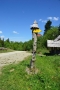 2016_05_27-29 Bieszczady fot.T. Tracz (47)