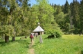 2016_05_27-29 Bieszczady fot.T. Tracz (51)