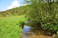 2016_05_27-29 Bieszczady fot.T. Tracz (54)