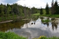 2016_05_27-29 Bieszczady fot.T. Tracz (58)