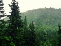05_BARANIEC