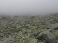2016_08_06 Bystra ťawka fot. W. Sanetra (107)
