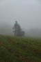 2016_09_18 fot. ť. Tr©bacz (304)