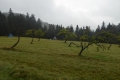 2016_09_18 fot. ť. Tr©bacz (309)