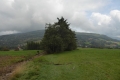 2016_09_18 fot. ť. Tr©bacz (311) kopia
