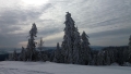 20170211_113245