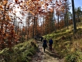 2017_10_15 Racza fot. M. Tomaszek (107)