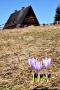 2018_04_07 III Krawculska InO fot. G. Szczepaniak (110)
